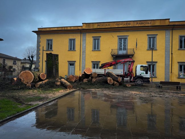 new images from barga -598