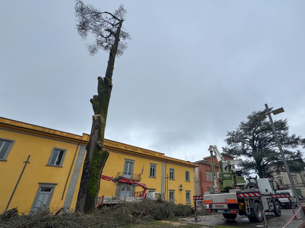 new images from barga -603