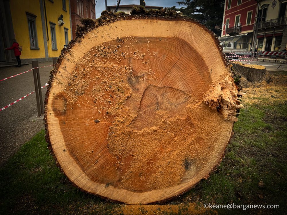 new images from barga -618