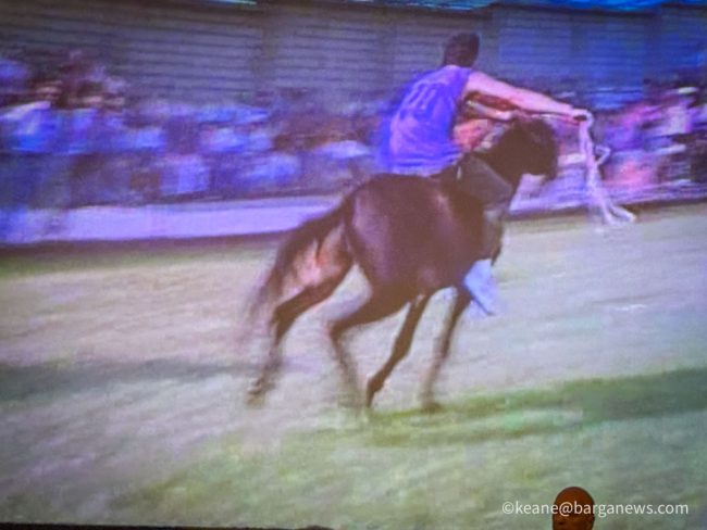 new images from barga -631