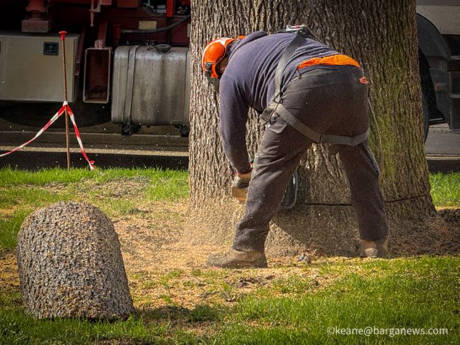 new images from barga -674