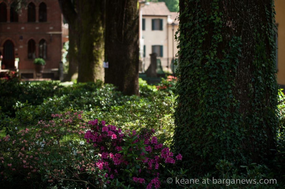 images from barga (LU) Italy