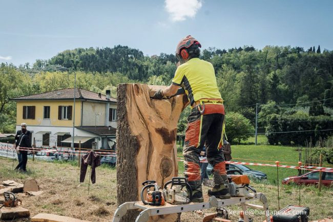 new images from barga -1146