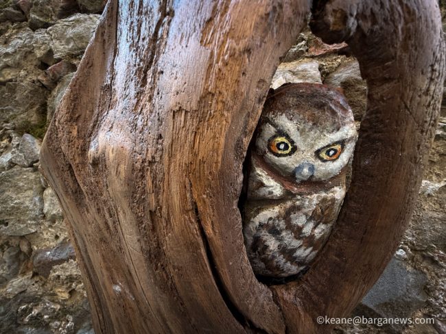 new images from barga -1156