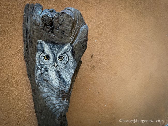 new images from barga -1158