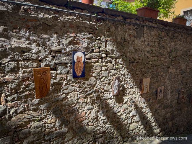 new images from barga -1161