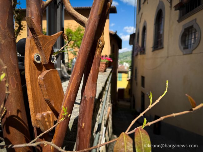 new images from barga -1162