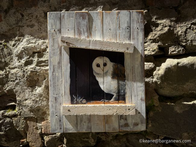 new images from barga -1165