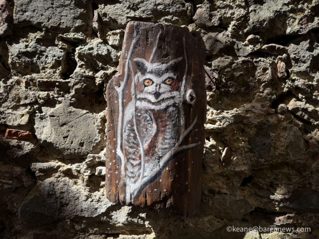 new images from barga -1167