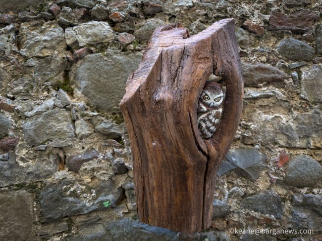 new images from barga -1170