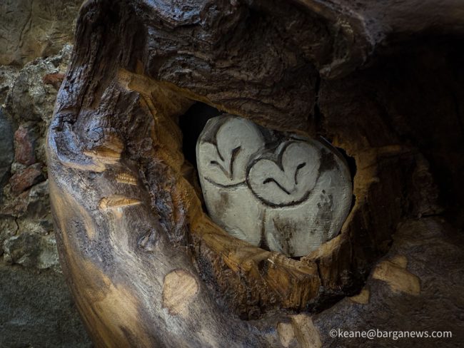 new images from barga -1171