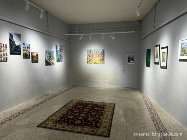 new images from barga -1407