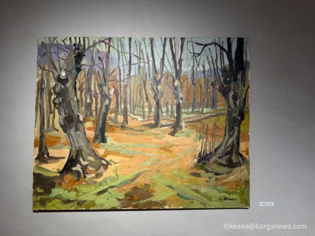 new images from barga -1411