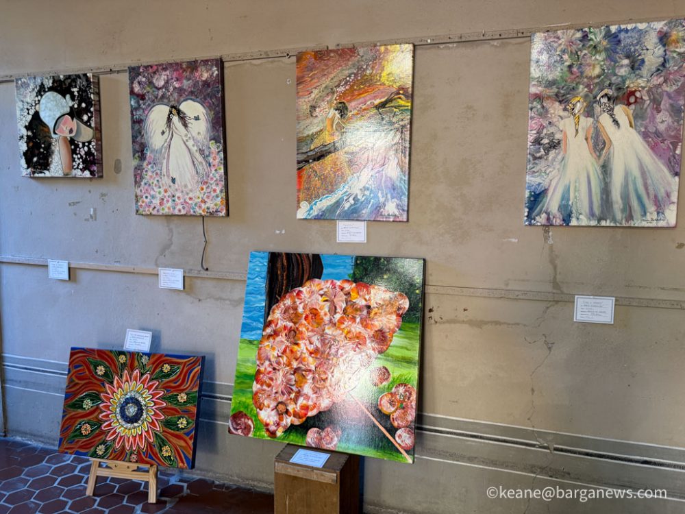 new images from barga -1421