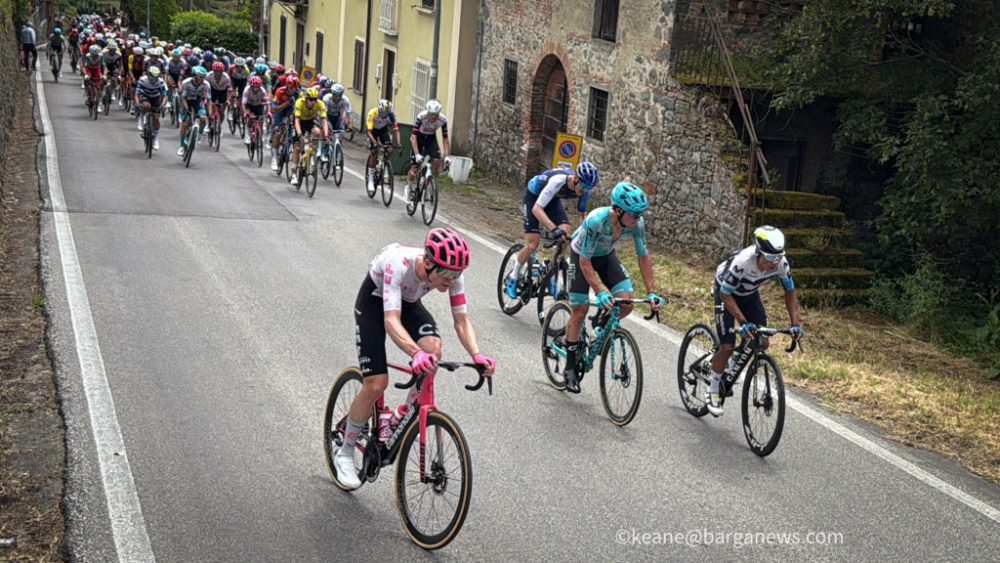 new images from barga -1463