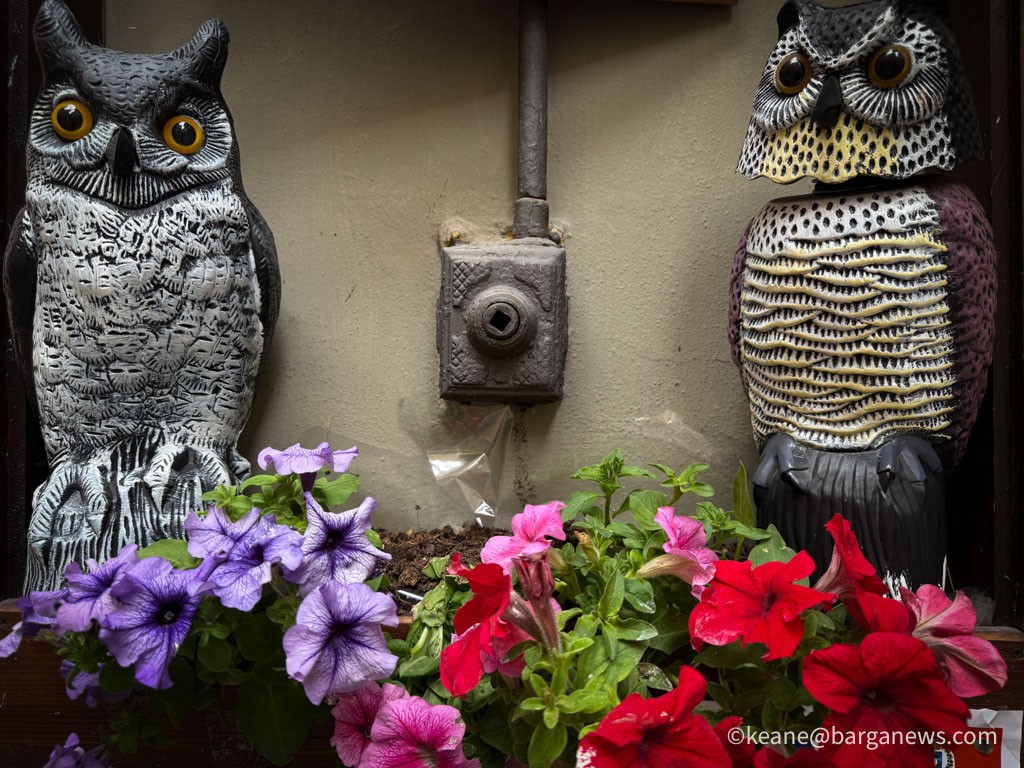 Barga Daily Image 25th May 2025