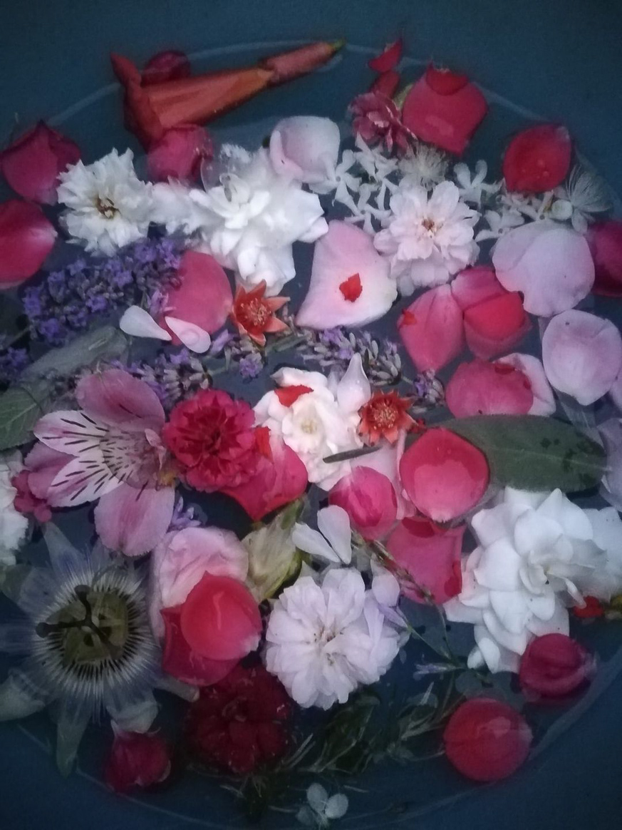 images-from-barga-18