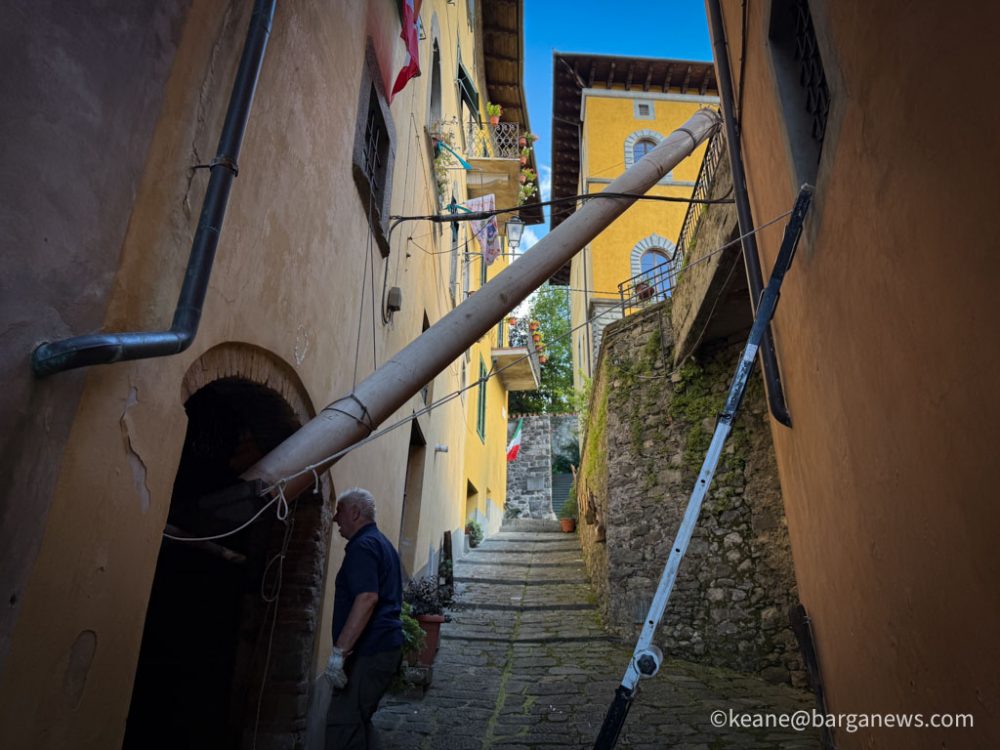 new images from barga -3289