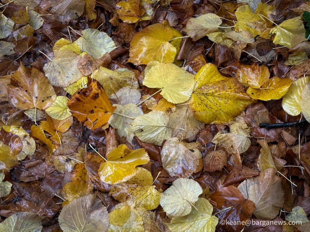 Barga Daily Image 24th October 2025