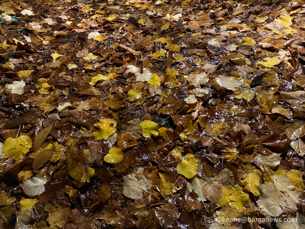 Barga Daily Image 31st October 2025