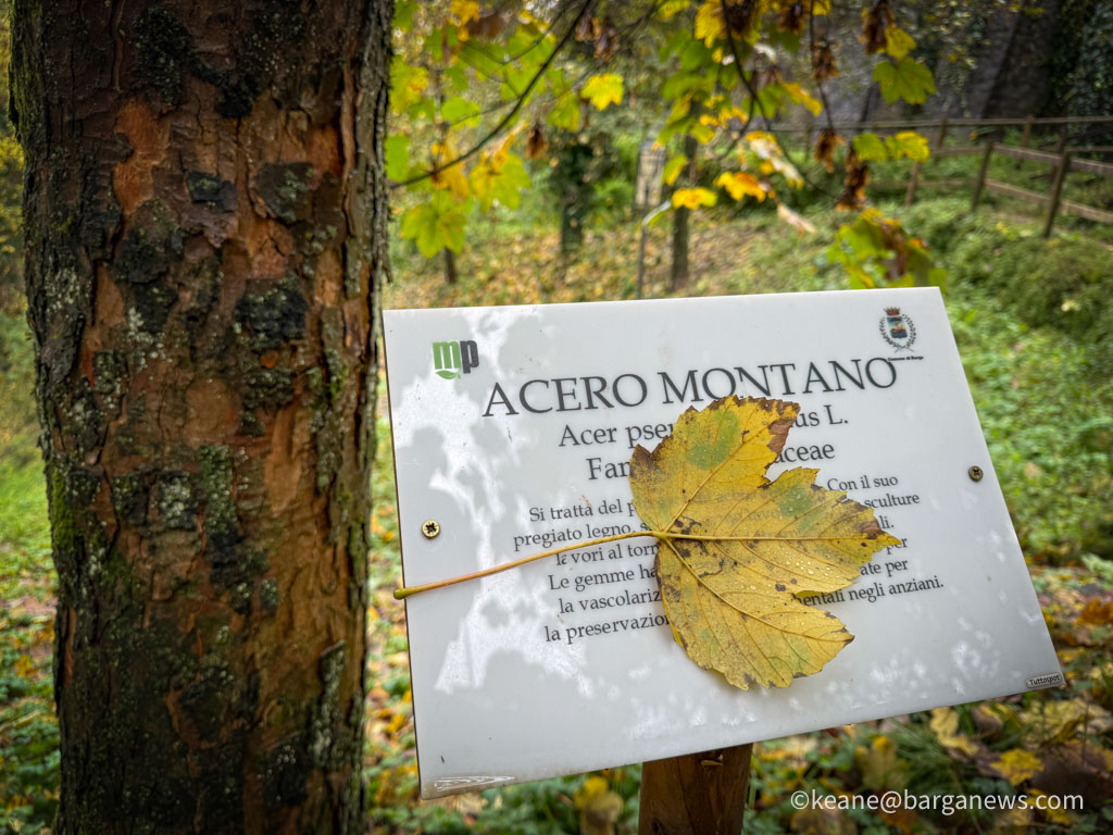 Barga Daily Image 1st November 2025