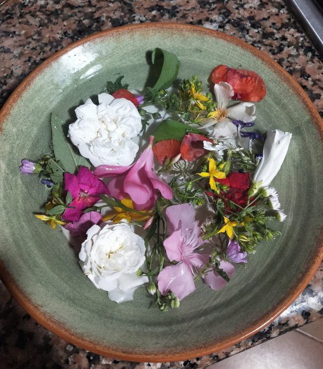 images-from-barga-19-650×742