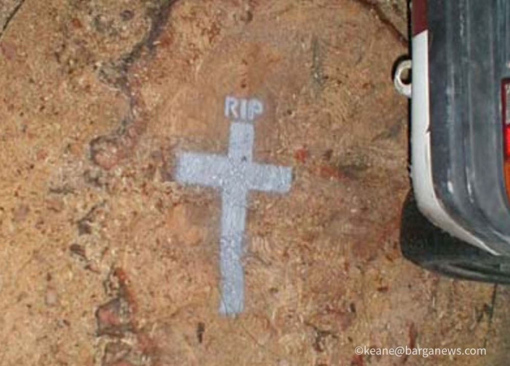 images from barga italy -41