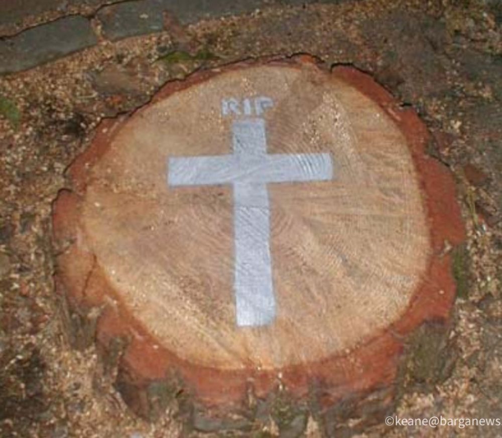 images from barga italy -42