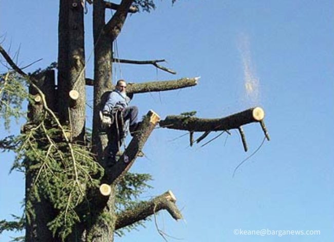 images from barga italy -44