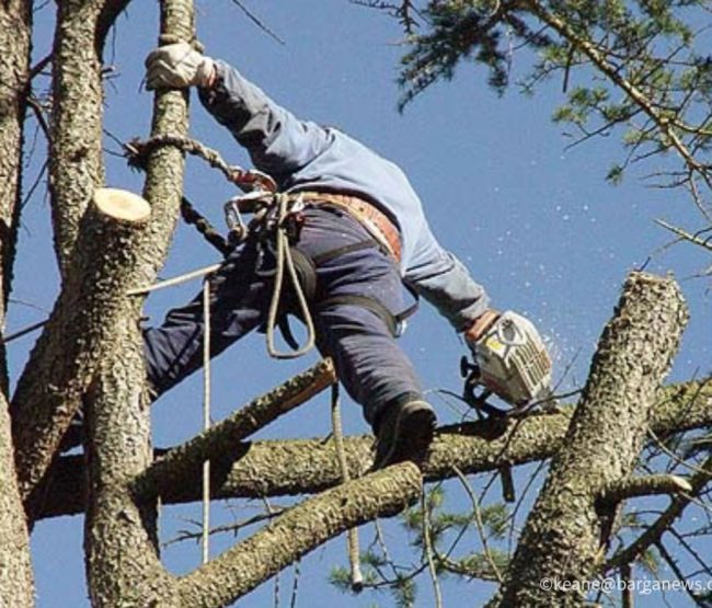 images from barga italy -45