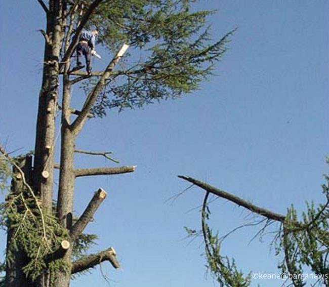 images from barga italy -46