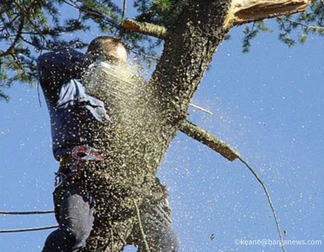 images from barga italy -48