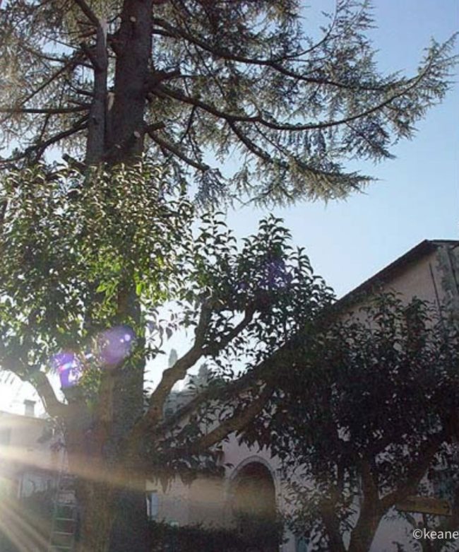 images from barga italy -49