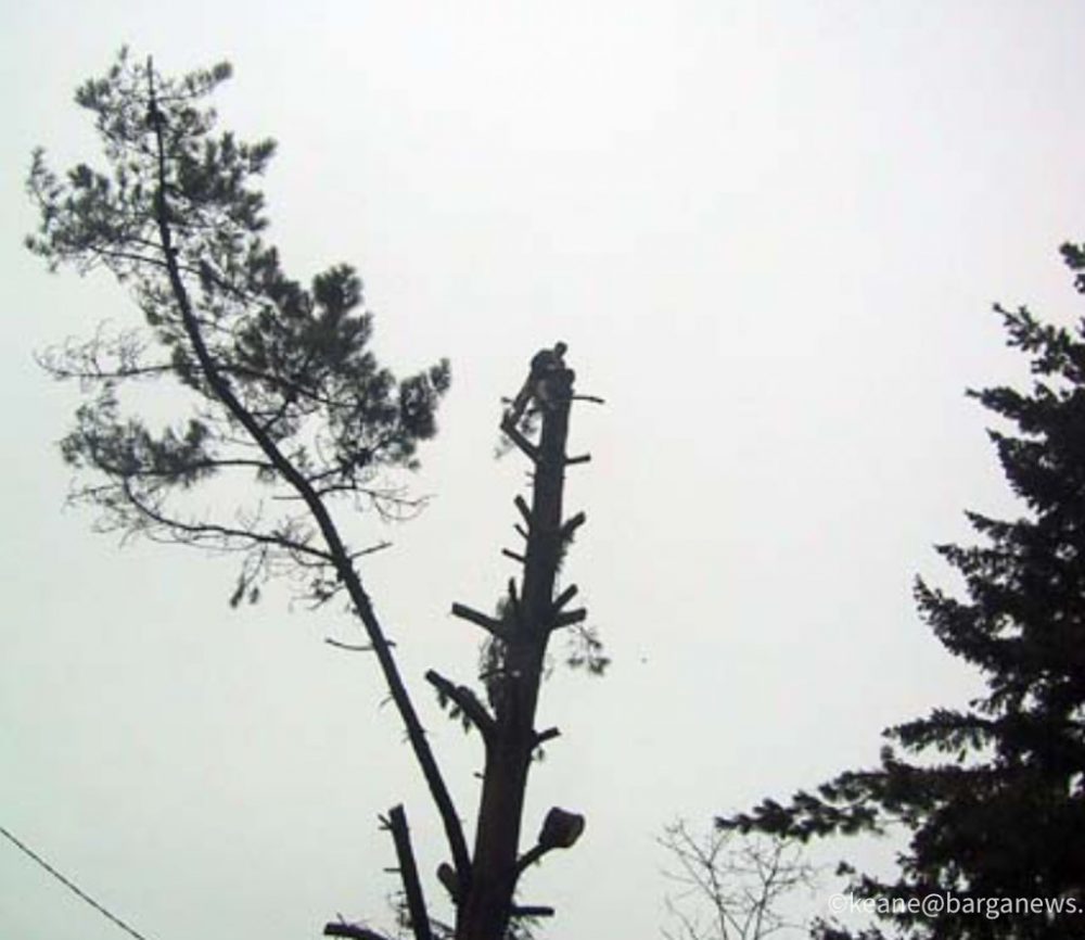 images from barga italy -59