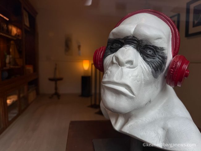 new images from barga -2015