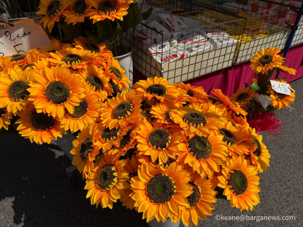 new images from barga -2700