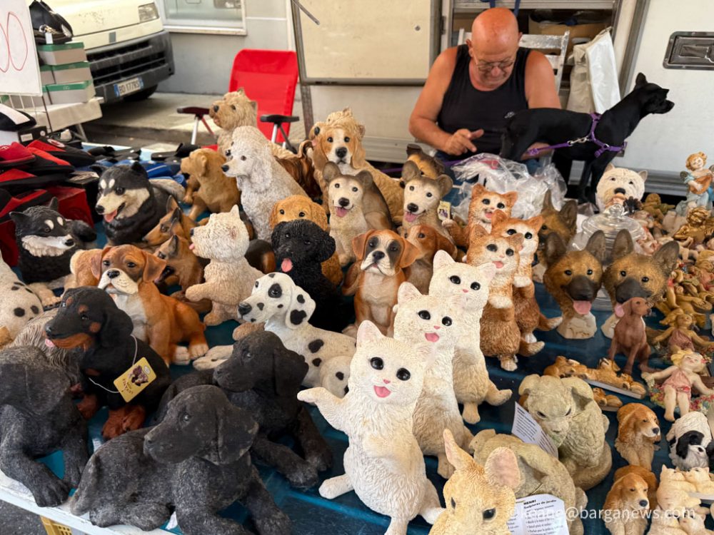 new images from barga -2701