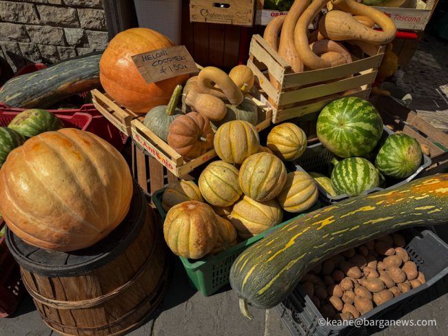 new images from barga -2709