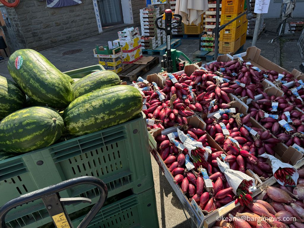 new images from barga -2710