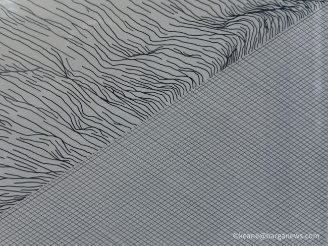 new images from barga -2977