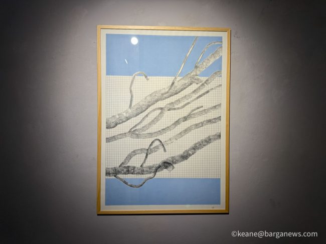 new images from barga -2981