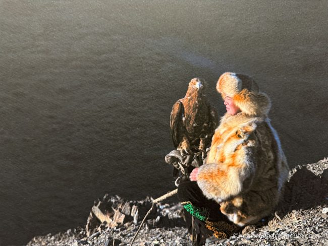 new images from barga -3172