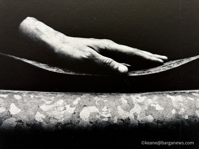 new images from barga -3429