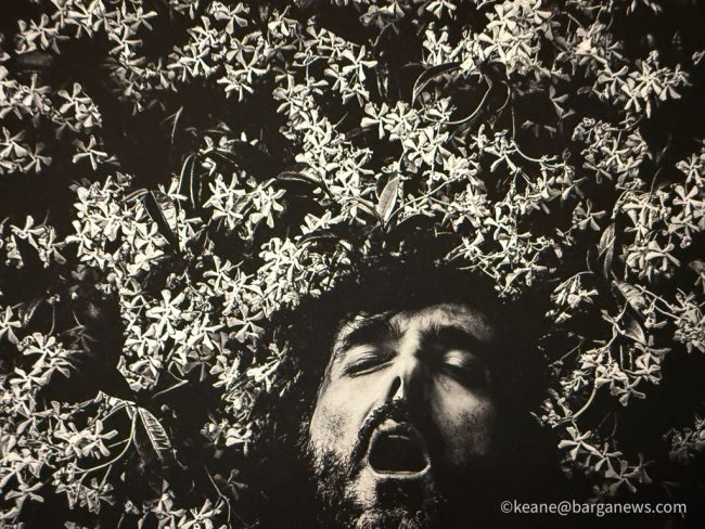 new images from barga -3431