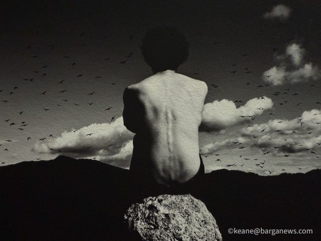 new images from barga -3433