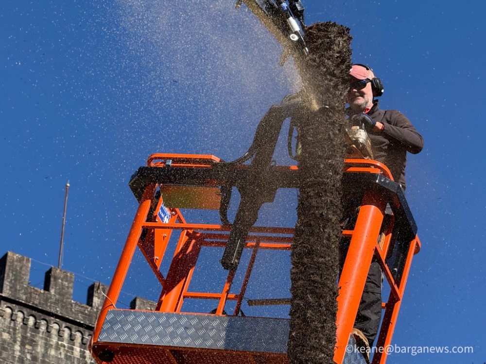 new images from barga -3439