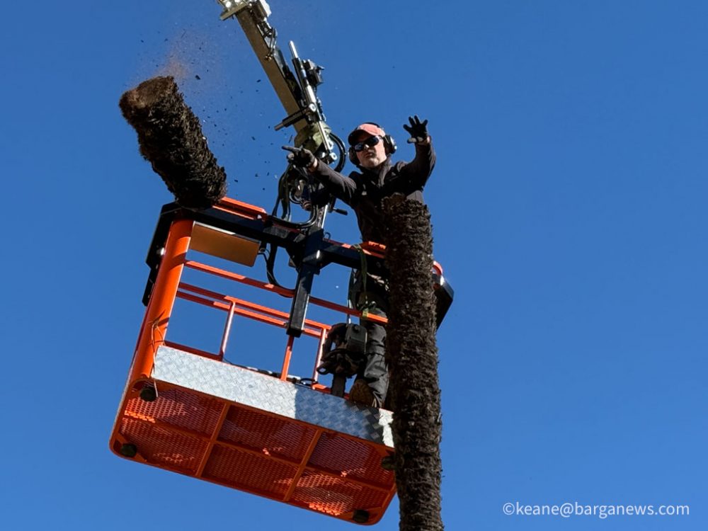 new images from barga -3440