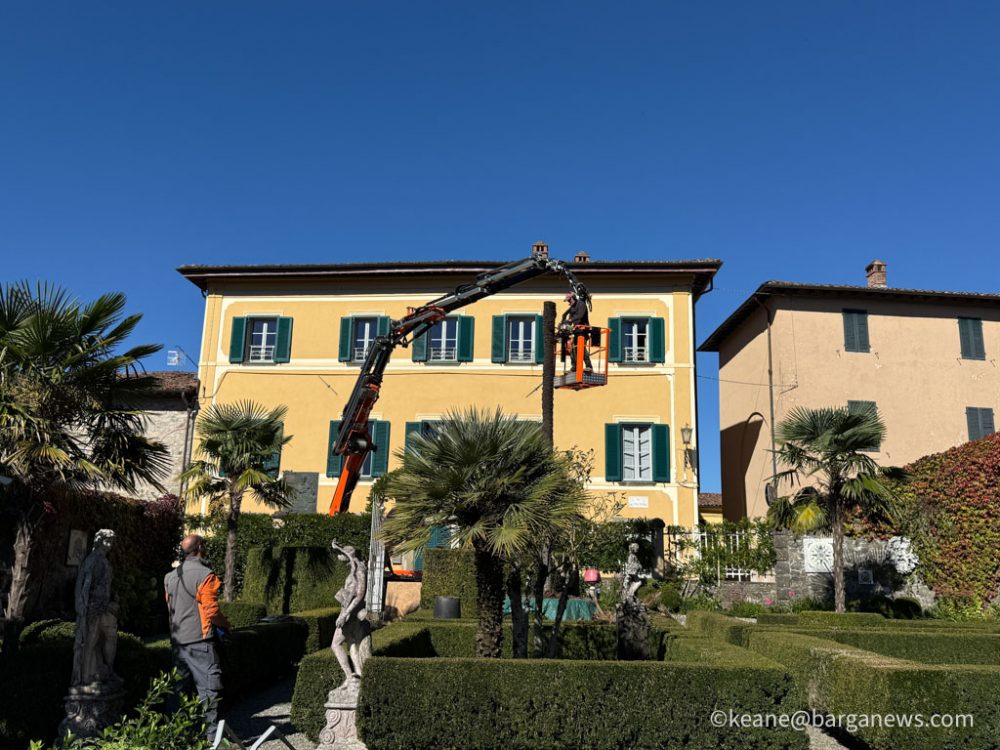 new images from barga -3441