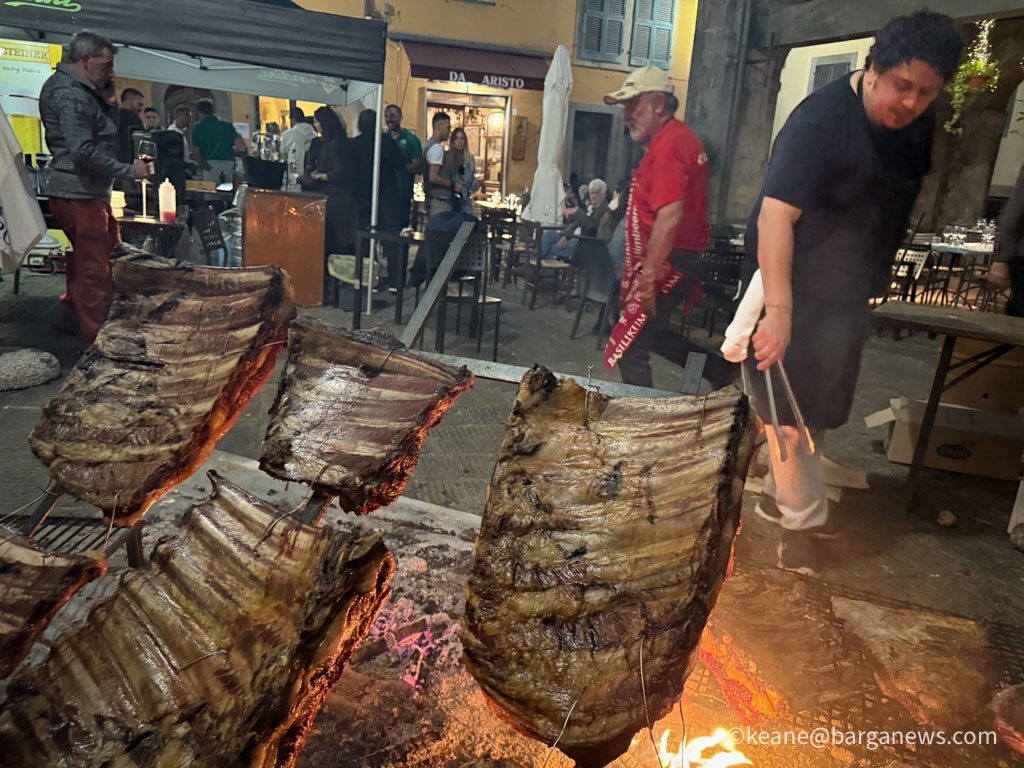 new images from barga -3486