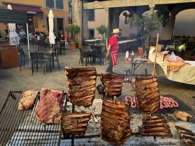 new images from barga -3488